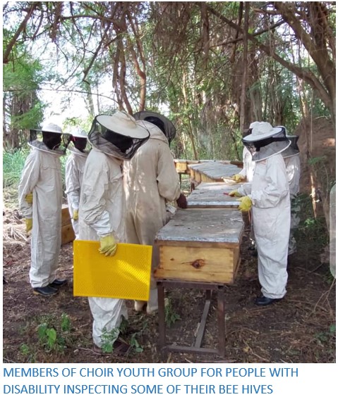 Choir Youth Group Inspect Bee hives