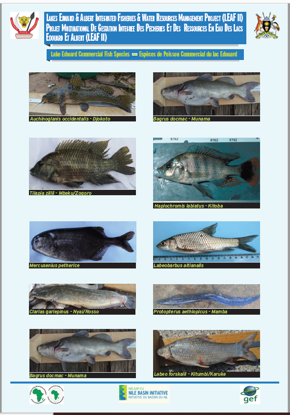Fish Species Lake Edward Poster